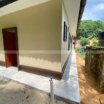 Lagenda Mawar (Puan Nazliza)